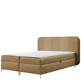 Jenkkisänky FANDY + sijauspatja M, eri kokoja ja värivaihtoehtoja