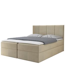 Jenkkisänky REBOS M-sijauspatjalla, eri kokoja ja värivaihtoehtoja