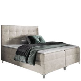 Jenkkisänky SNAKE + sijauspatja, eri kokoja ja värivaihtoehtoja