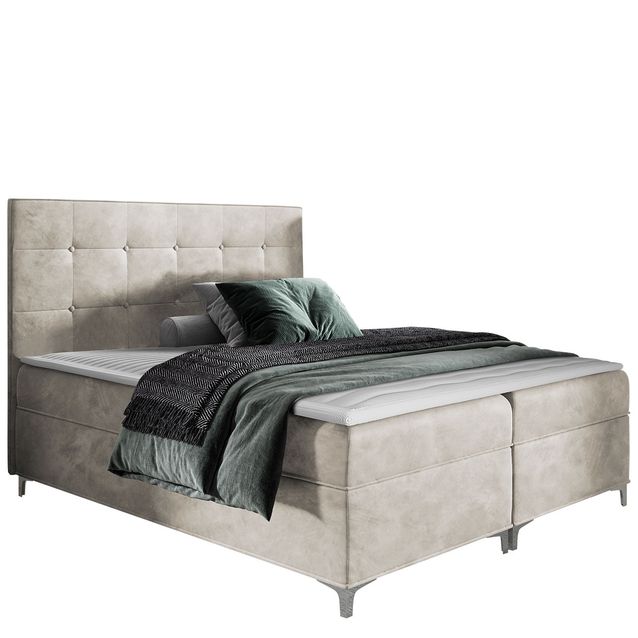 Jenkkisänky SNAKE 120x200 + sijauspatja, beige (1917)