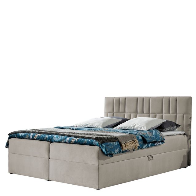 Jenkkisänky TOP 3 120x200 + sijauspatja, beige (1701)