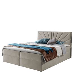 Jenkkisänky TOP 4 + sijauspatja, eri kokoja ja värivaihtoehtoja