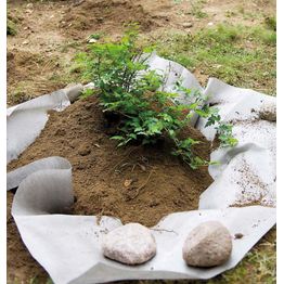 Juuriestematto Viheraarni 1,75x100 jm