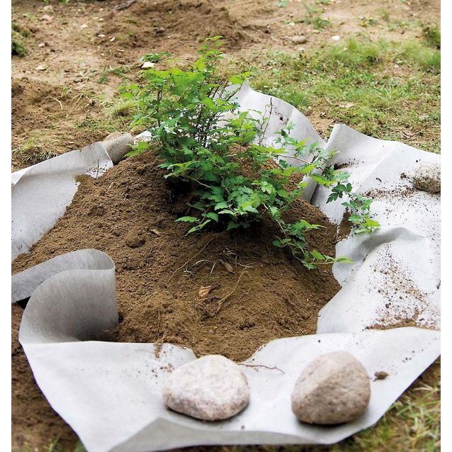 Juuriestematto Viheraarni 2,60x100 jm