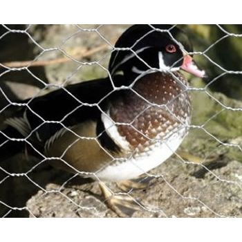 Kanaverkko AB Polar 25 x 25 x 07 mm 1000 mm x 10 m