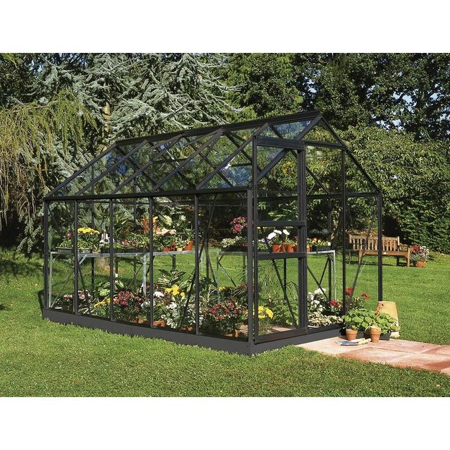 Kasvihuone Halls Popular 6,2 m² lasi/musta