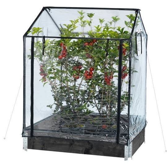 Kasvihuone lavakaulukselle Hortus 115x76x110/130 cm