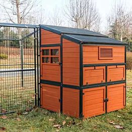 PREMIUM-kanala Kellfri