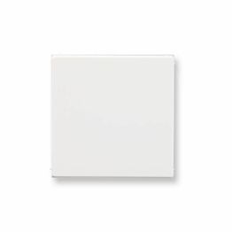 Keskiölevy Ensto Intro - Umpinainen valkoinen