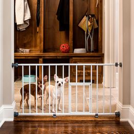 Koira-aita Carlson Tilanjakaja Mini 45x74-81 cm valkoinen