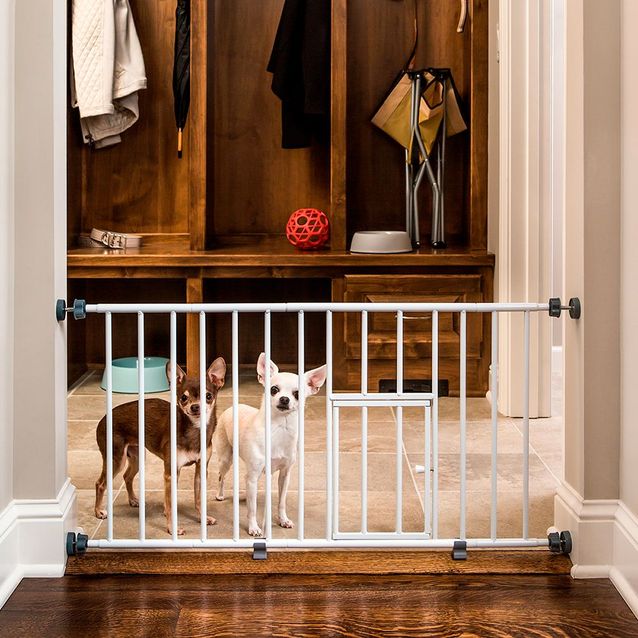 Koira-aita Carlson Tilanjakaja Mini 45x74-81 cm valkoinen