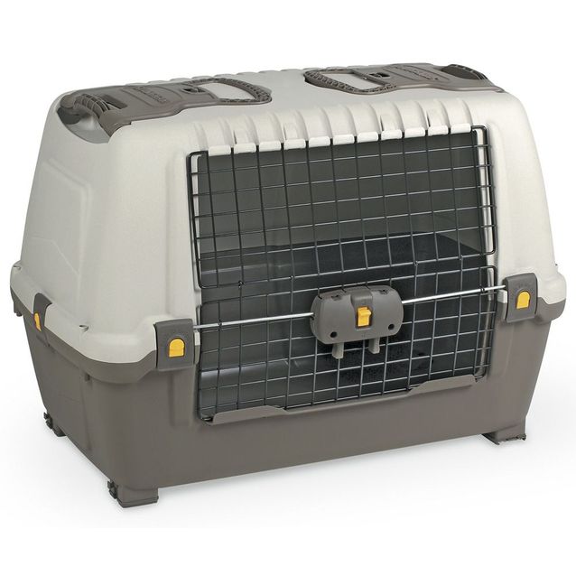 Koiran kuljetuslaatikko MPS Skudo Car 80 51x43x77 cm