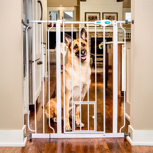 Koiraportti Calson Korkea 104x73,6-86,3 cm valkoinen