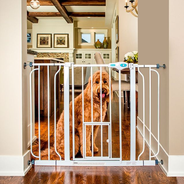 Koiraportti Carlson Leveä 76,2x73,6-86,3 cm valkoinen