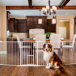 Koiraportti ja pentuaitaus Carlson 2-in-1 Superleveä 71x366 cm valkoinen