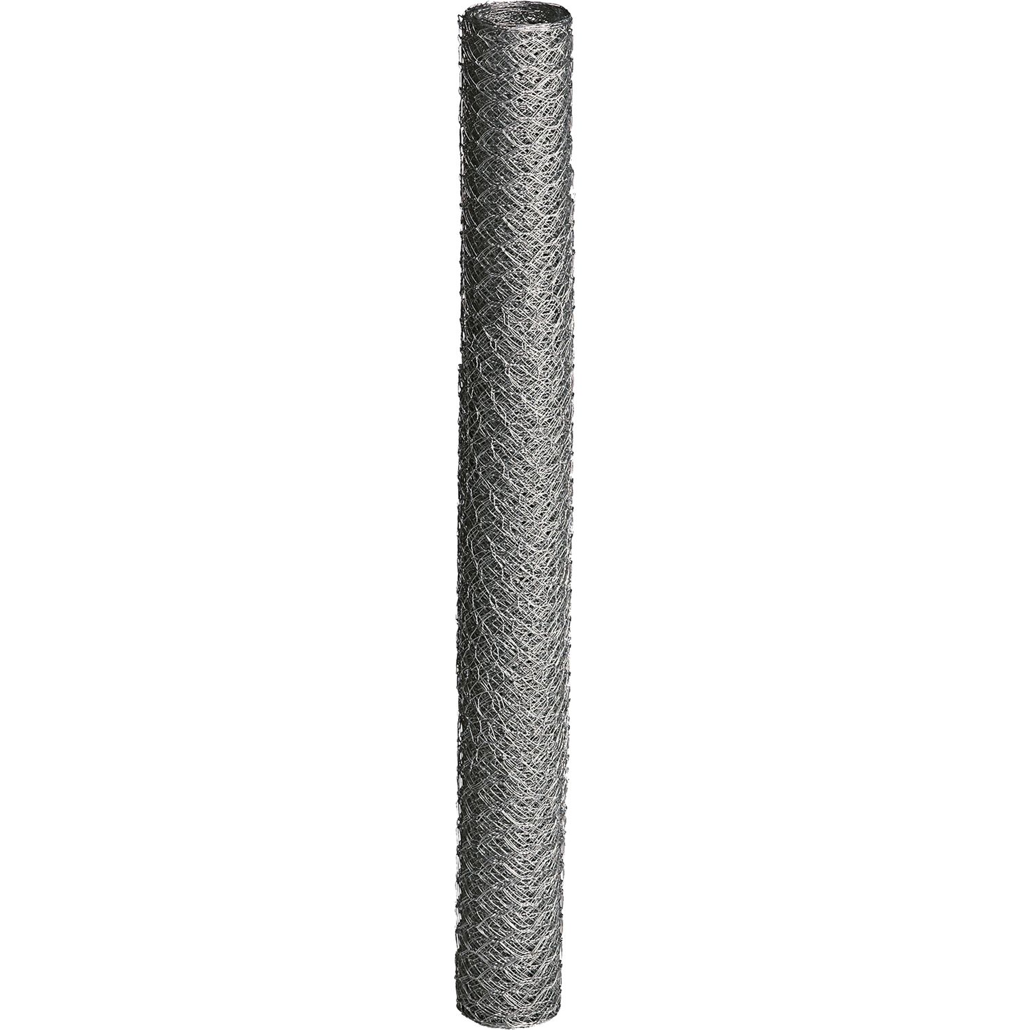 Kudottu verkko Hortus 16x600mm 10m galvanoitu