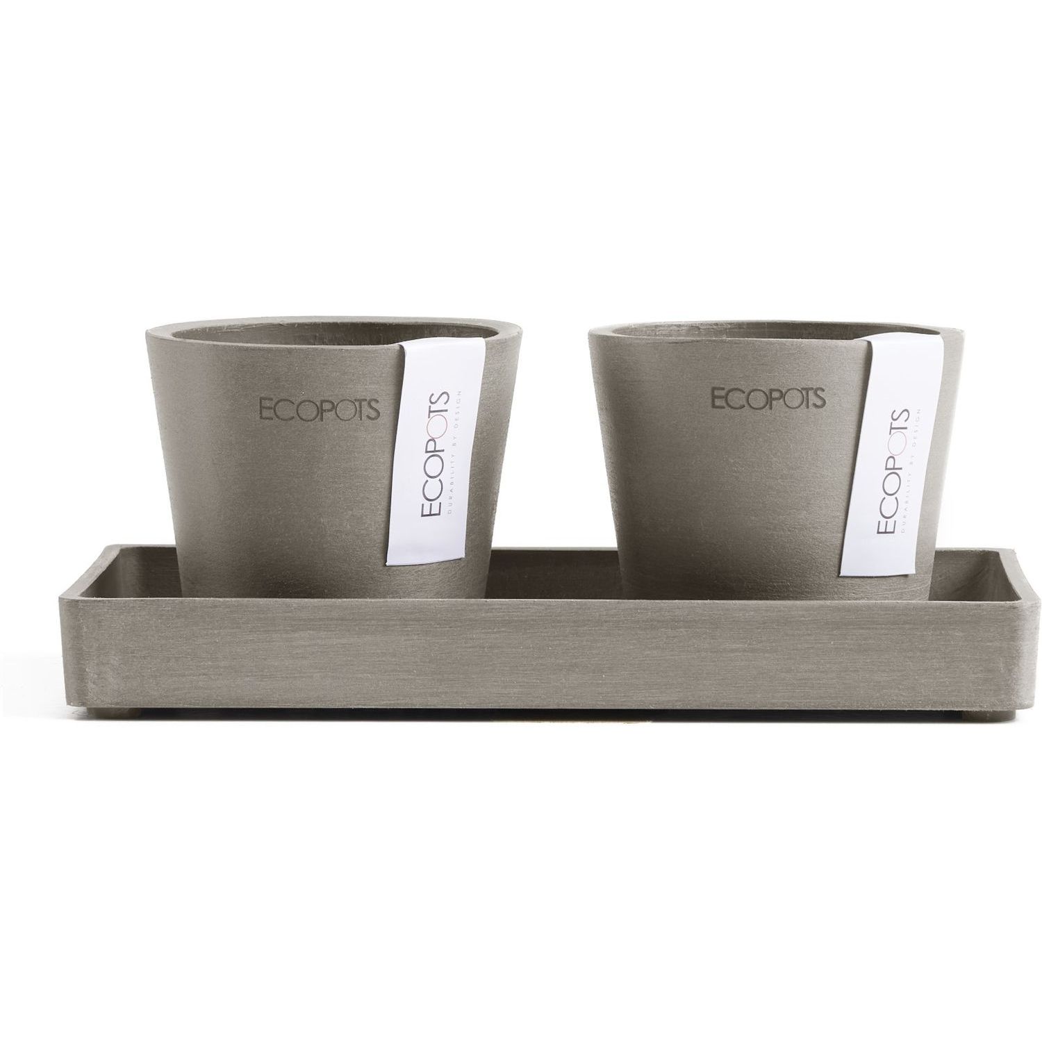 Kukkaruukut tarjottimella Ecopots Amsterdam 8cmx2kpl & esillepanotarjotin 20cm taupe