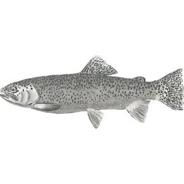 Kuvatapetti Esta Black & White with a splash of Gold 158933 1,86x2,79m