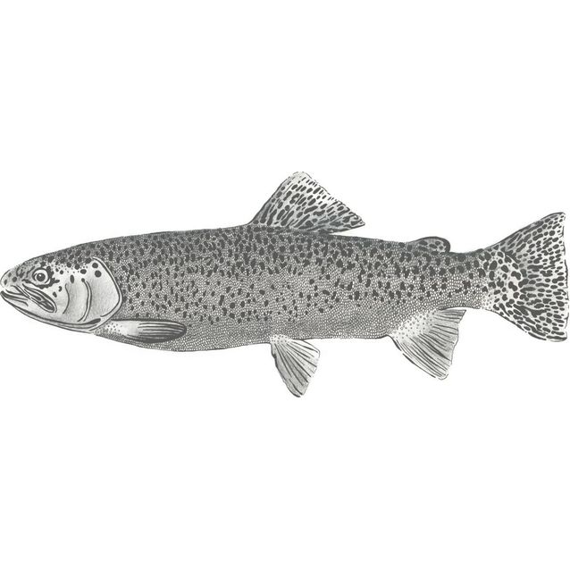 Kuvatapetti Esta Black White with a splash of Gold 158933 1,86x2,79m