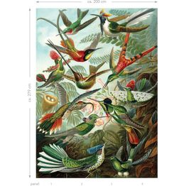 Kuvatapetti Esta Paradise XL Birds Tropical Jungle Green 2x2,79m