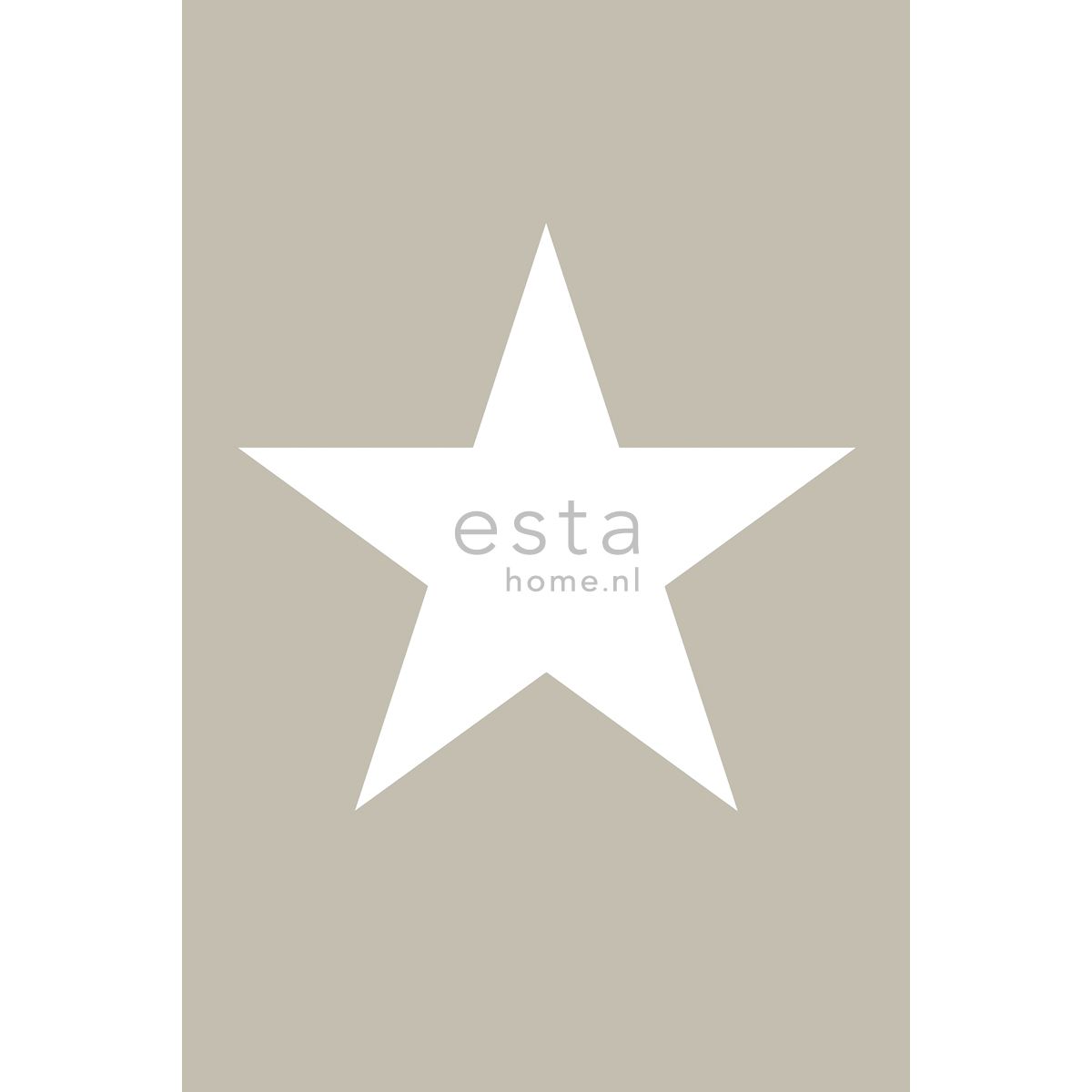 Kuvatapetti PhotowallXL Star 158706 1860x2790 mm