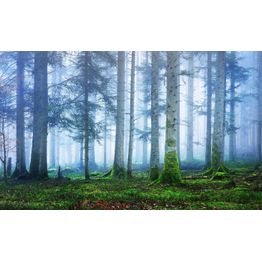 Maisematapetti Rebel Walls Blue Forest, metsä, non-woven, mittatilaus