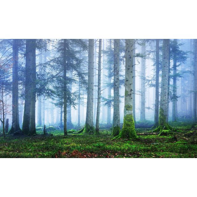 Kuvatapetti Rebel Walls Blue Forest, non-woven, mittatilaus