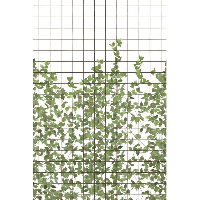 Kuvatapetti Rebel Walls Climbing Clorofyl, non-woven, mittatilaus