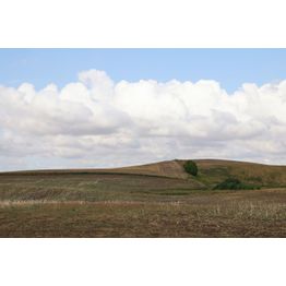 Maisematapetti Rebel Walls Cropland, non-woven, mittatilaus