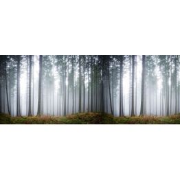 Maisematapetti Rebel Walls Forest Glade, metsä, non-woven, mittatilaus