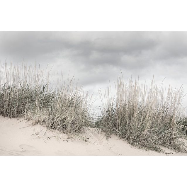 Kuvatapetti Rebel Walls Pale Shore, non-woven, mittatilaus