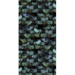 Kuvatapetti Rebel Walls Peacock Plumage non-woven mittatilaus