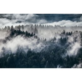 Maisematapetti Rebel Walls Shinrin-Yoku, metsä, non-woven, mittatilaus