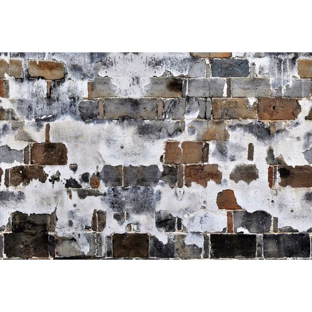 Kuvatapetti Rebel Walls Slurry Wall, non-woven, mittatilaus