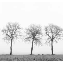 Kuvatapetti Rebel Walls Tree Soldiers non-woven mittatilaus