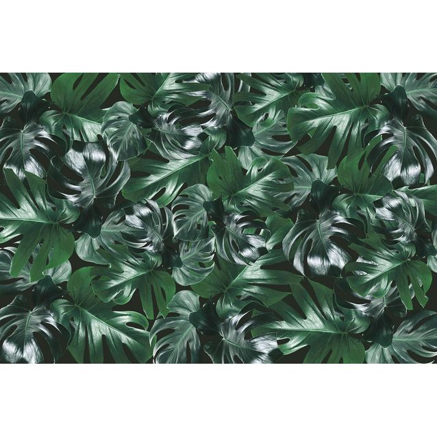 Kuvatapetti Rebel Walls Welcome To The Jungle Authentic, non-woven, mittatilaus