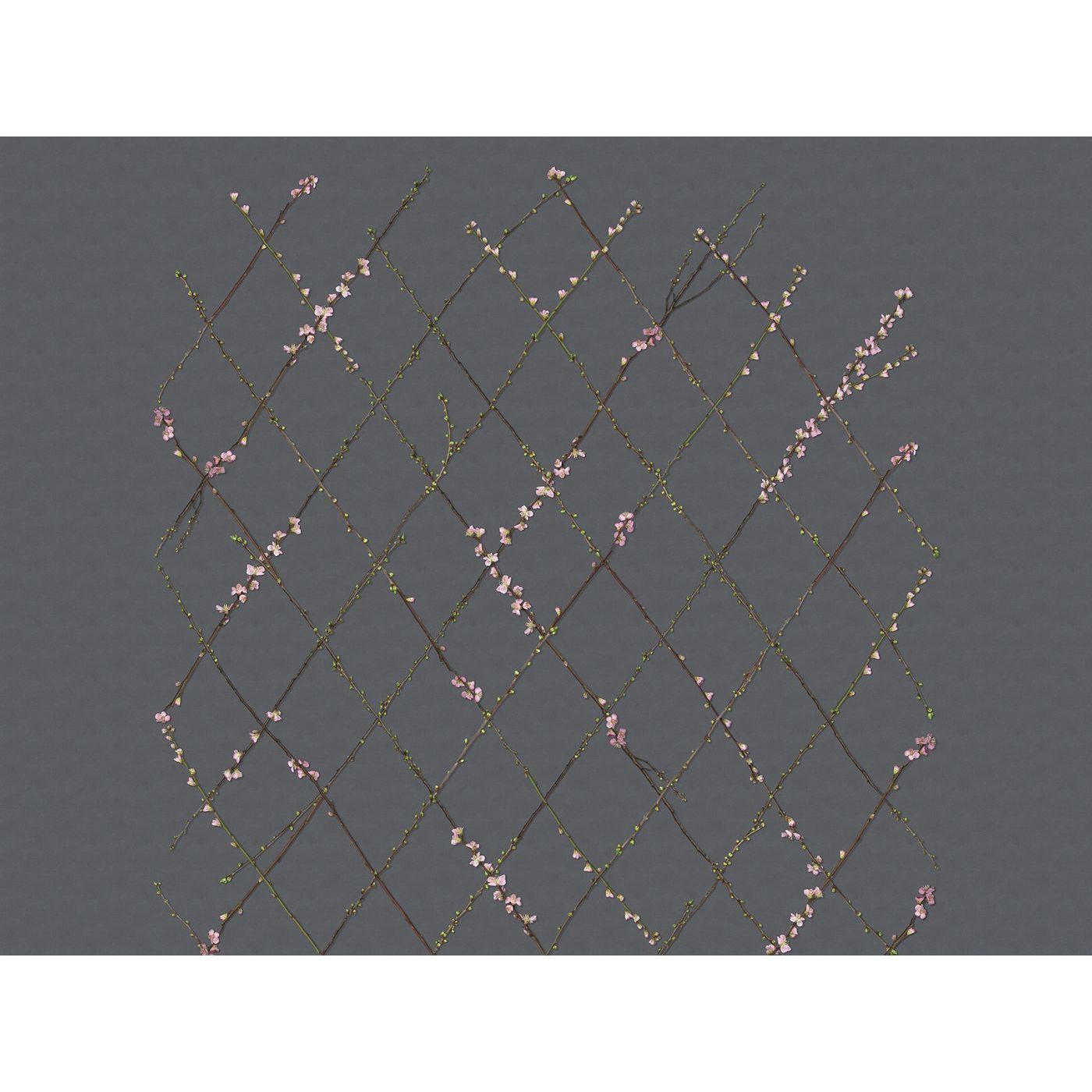 Kuvatapetti Rebel Walls Winding Spring Black non-woven mittatilaus