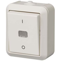 Kytkin 2-NAP IP44 Kosti