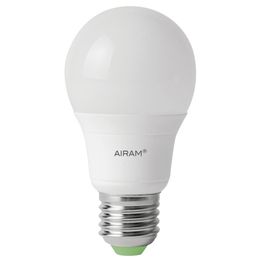 LED-pakkaslamppu Airam -40 °C E27 5,5W Ø55x104 mm 470lm 2800K