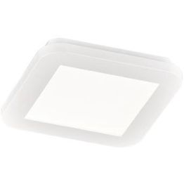 LED-plafondi Trio Camillus 17x17 cm valkoinen IP44