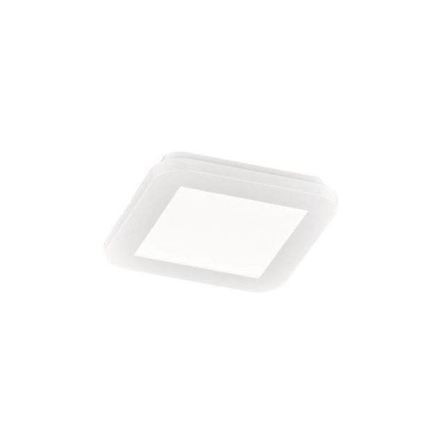 LED-plafondi Trio Camillus, 17x17 cm, valkoinen, IP44