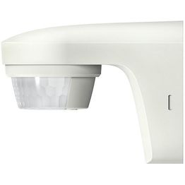 Liiketunnistin Theben theLuxa S150°, IP55