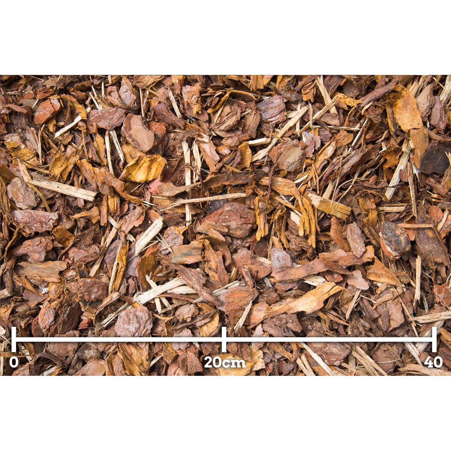 Männyn kuorikate Woodpeckers 15-50mm 2.0 m3