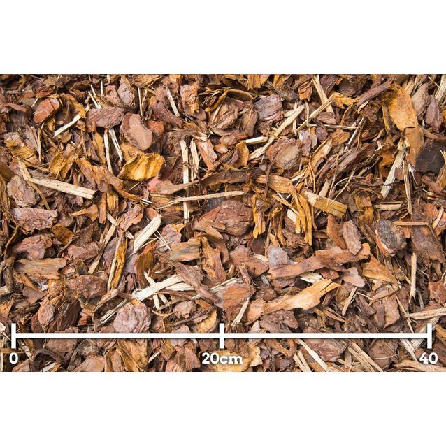 Männyn kuorikate Woodpeckers 15-50mm 1,8m3