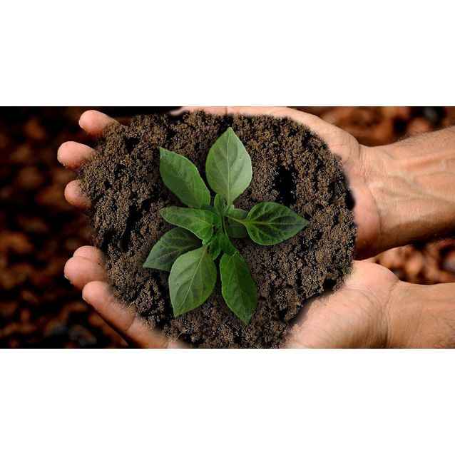 Yleismulta Murske.net seulottu 1 m³ 1000  kg