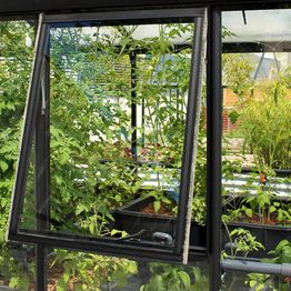 Sivuikkuna kasvihuoneeseen Vitavia Helena, ilman lasia, musta