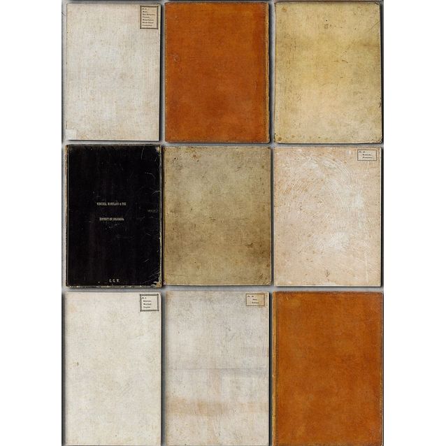 Paneelitapetti Mindthegap Book Covers 1,56x3 m