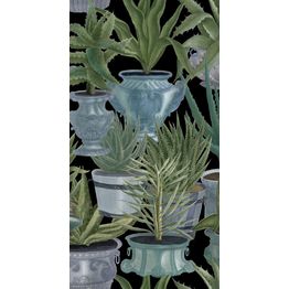 Paneelitapetti Mindthegap Echeveria 1,56x3 m