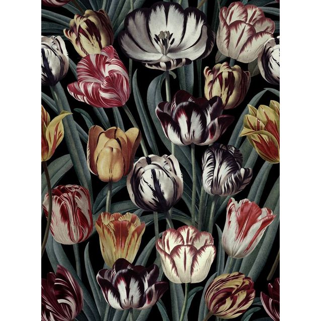 Paneelitapetti Mindthegap Tulipa Dark 1,56x3 m