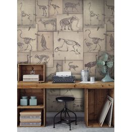 Paneelitapetti Mindthegap Zooarchaeology 1,56x3 m